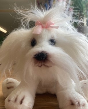 Suki Shih Tzu Soft Toy
