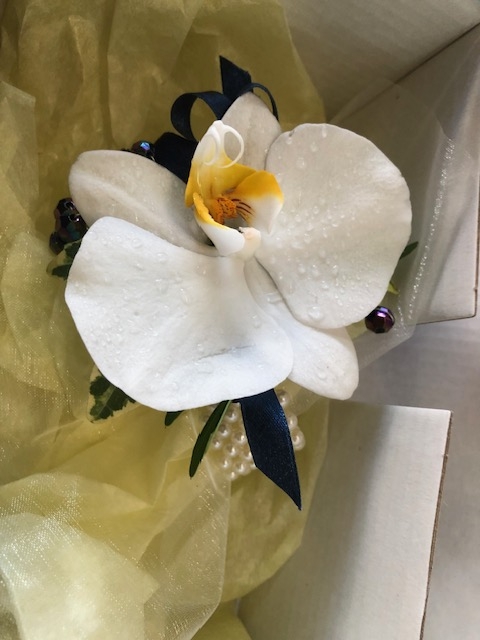 White Orchid Wrist Corsage