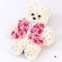 Teddy Bear Tribute   Pink *