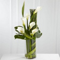 Calla Lily Arrangement *