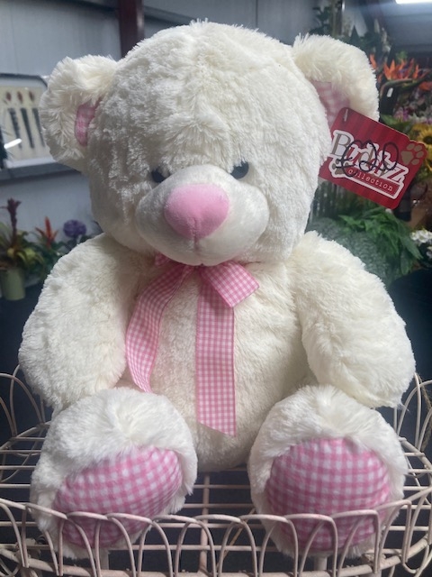 Buddyz Collection Baby Girl Teddybear