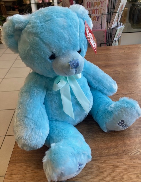 Buddyz Collection Blue Baby Boy Teddybear