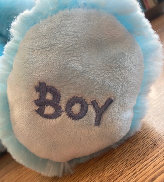Buddyz Collection Blue Baby Boy Teddybear