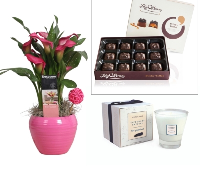 Pink Calla Plant, Candle & Chocolates