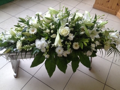 White Coffin Spray