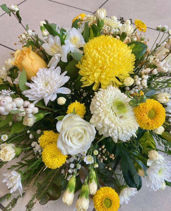 Yellow Posy