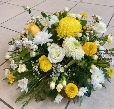 Yellow Posy