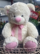 Buddyz Collection Baby Girl Teddybear