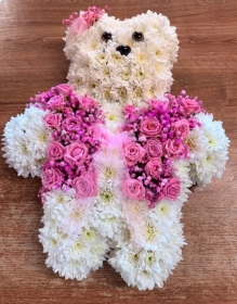 Pink Teddy
