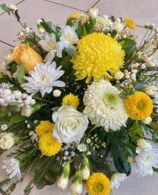 Yellow Posy